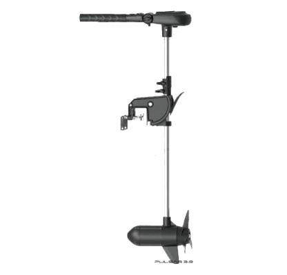 Haswing 6 PS Elektromotor