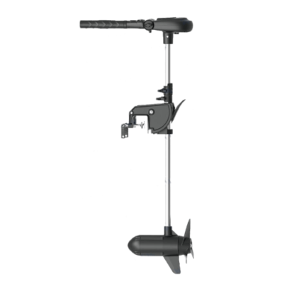 Haswing 3 PS Elektromotor